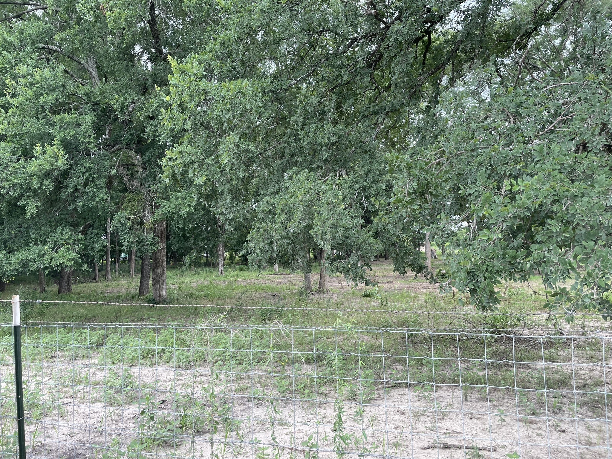 Tbd Private Road 2545 Quinlan TX 75474