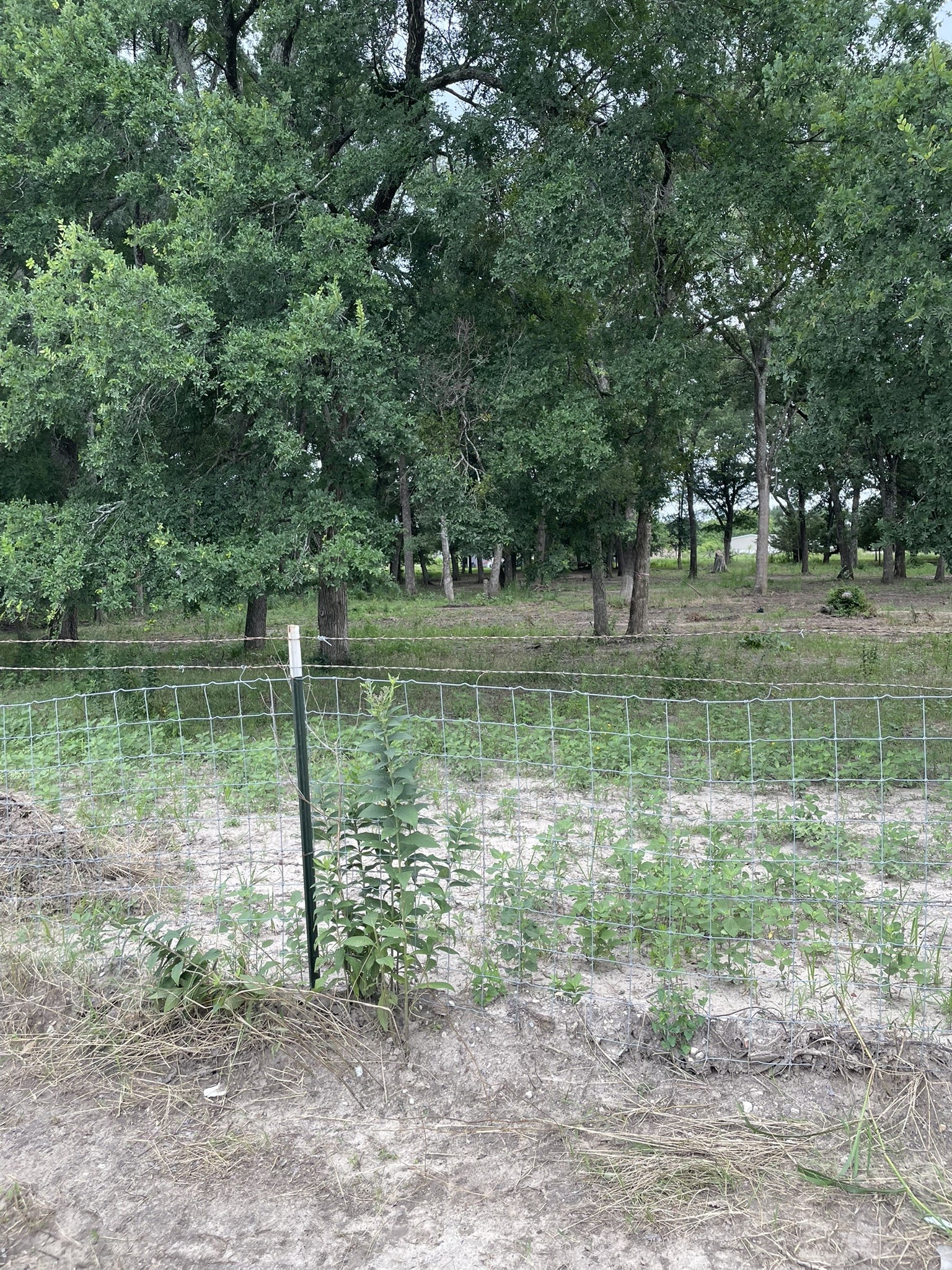 Tbd Private Road 2545 Quinlan TX 75474