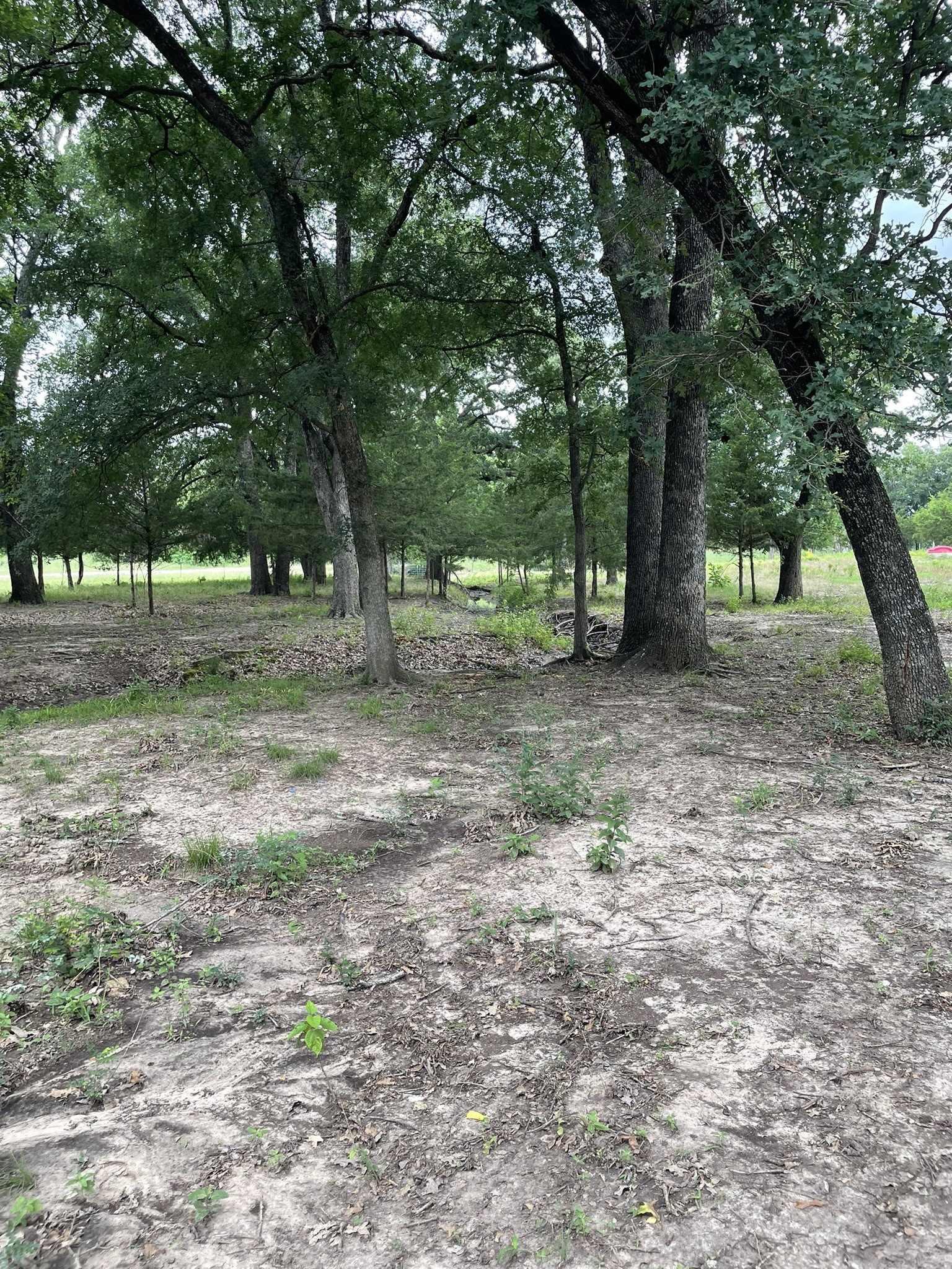 Tbd Private Road 2545 Quinlan TX 75474