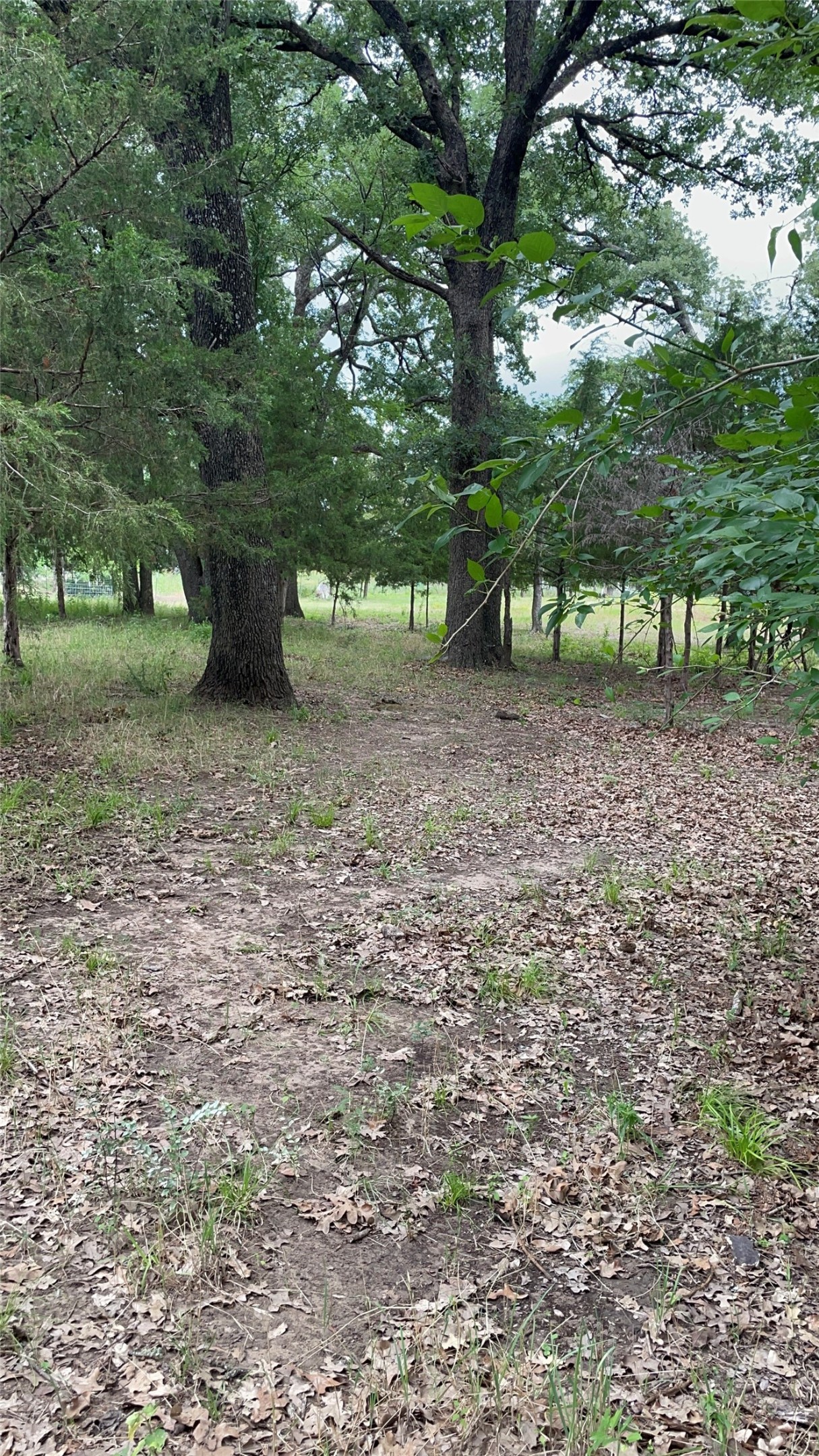 Tbd Private Road 2545 Quinlan TX 75474