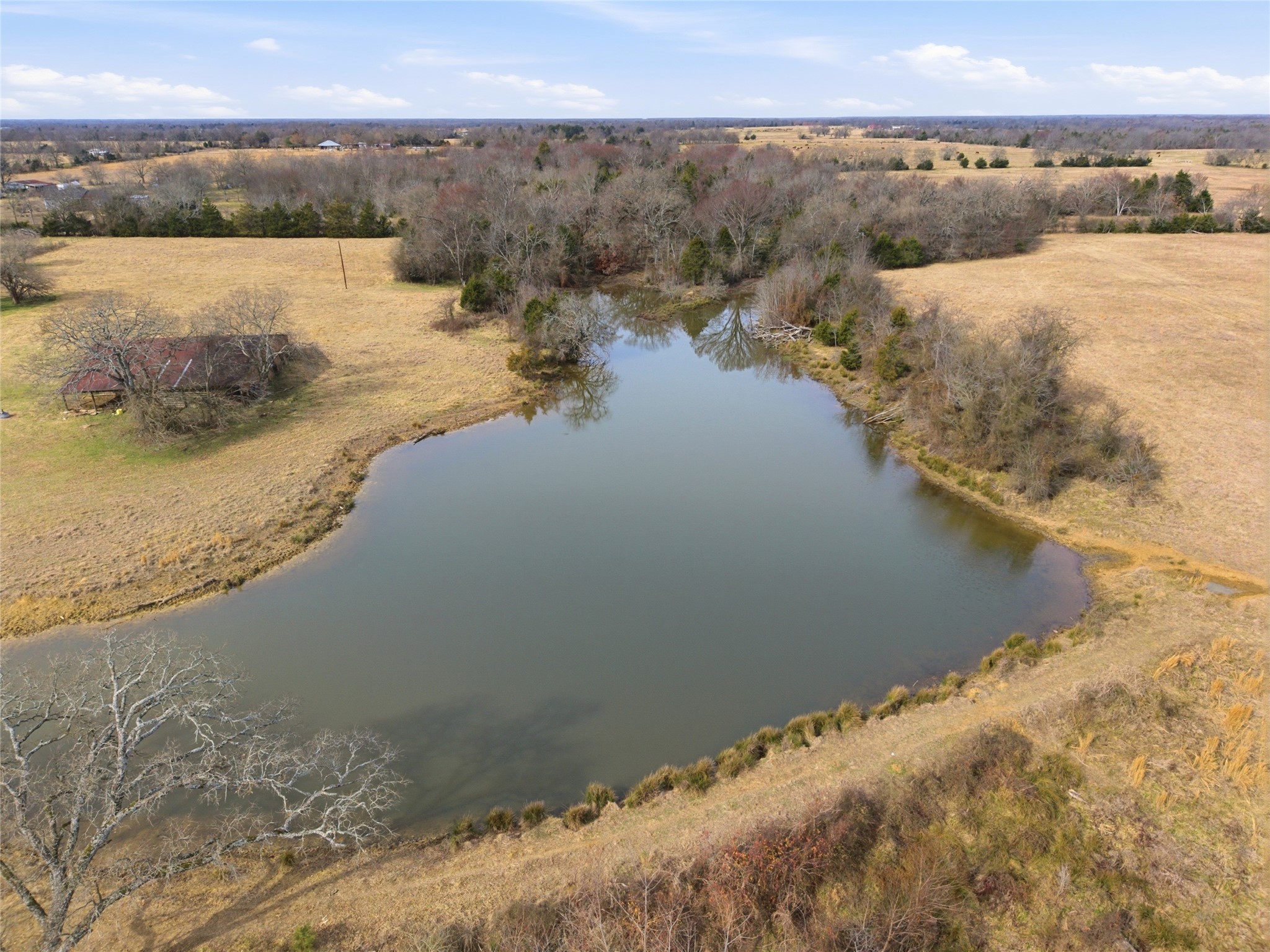742 County Road 1144 Miller Grove TX 75472