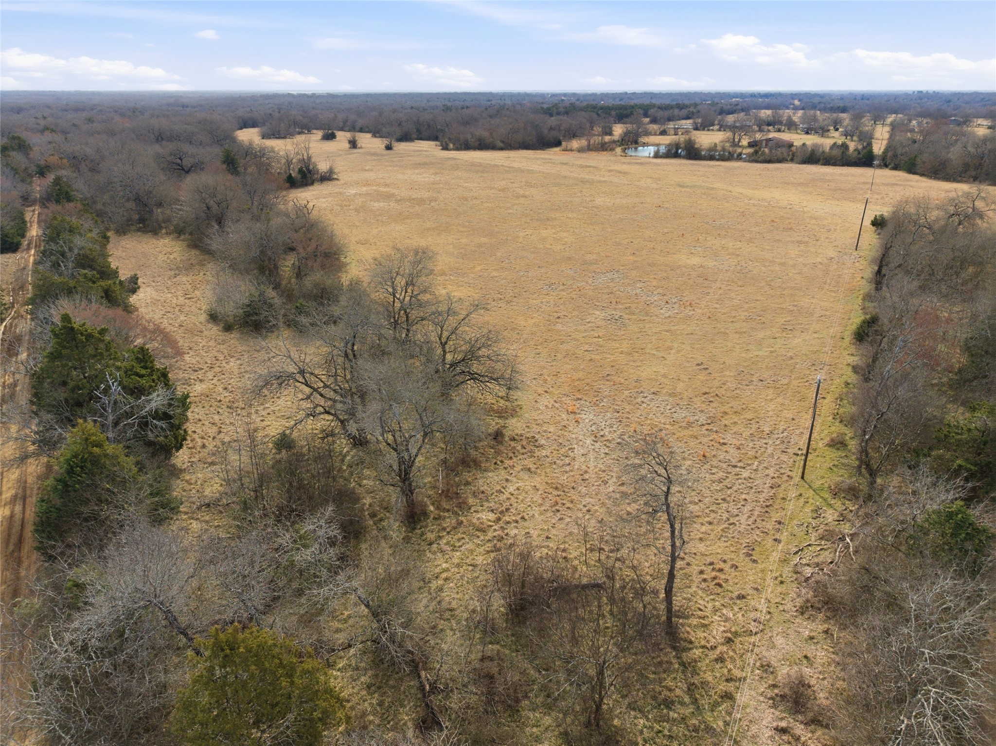 742 County Road 1144 Miller Grove TX 75472