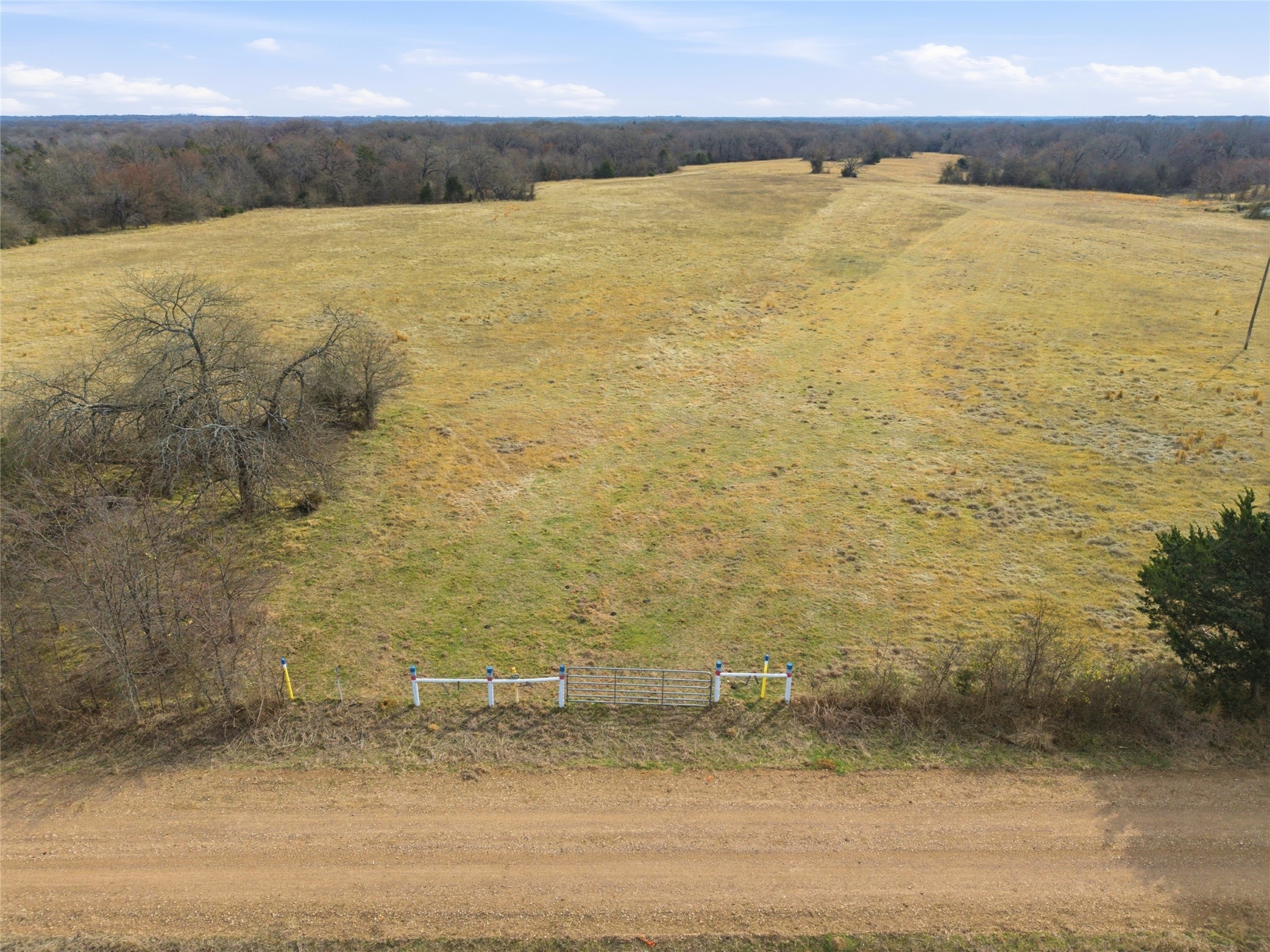 742 County Road 1144 Miller Grove TX 75472