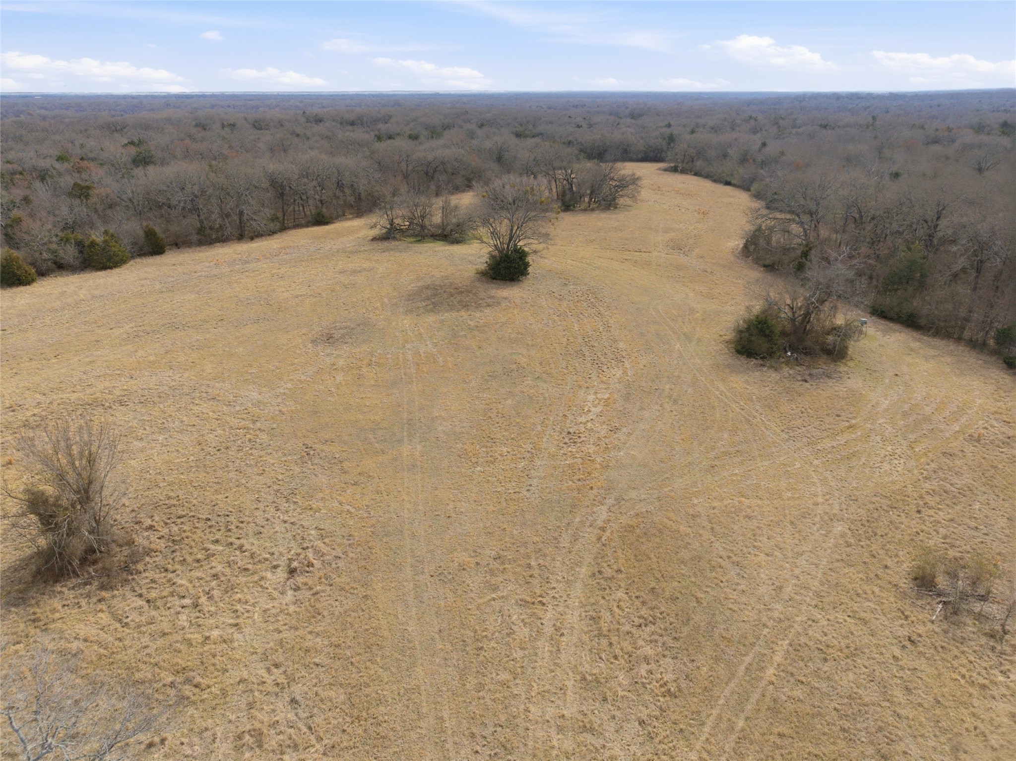 742 County Road 1144 Miller Grove TX 75472