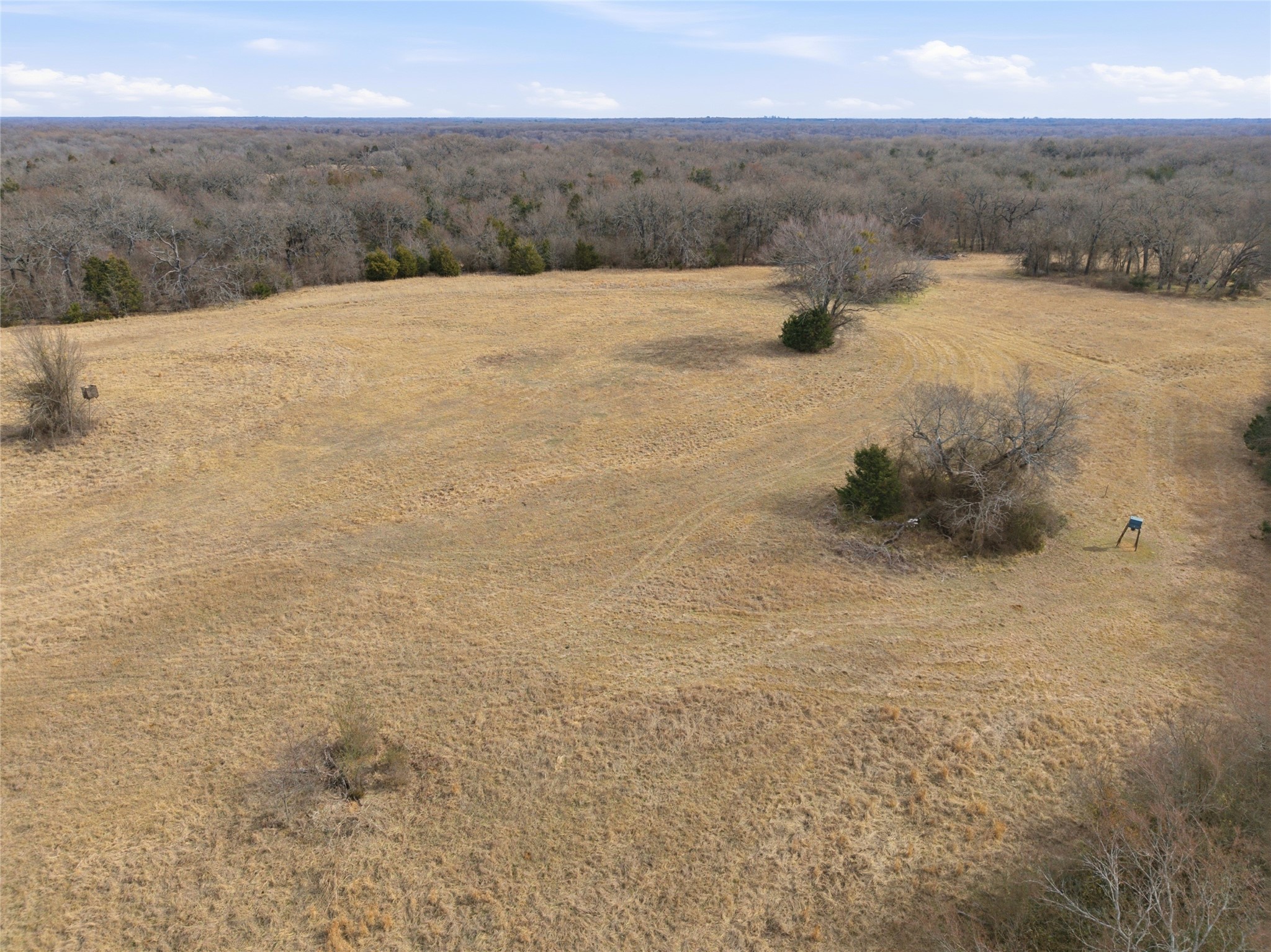 742 County Road 1144 Miller Grove TX 75472