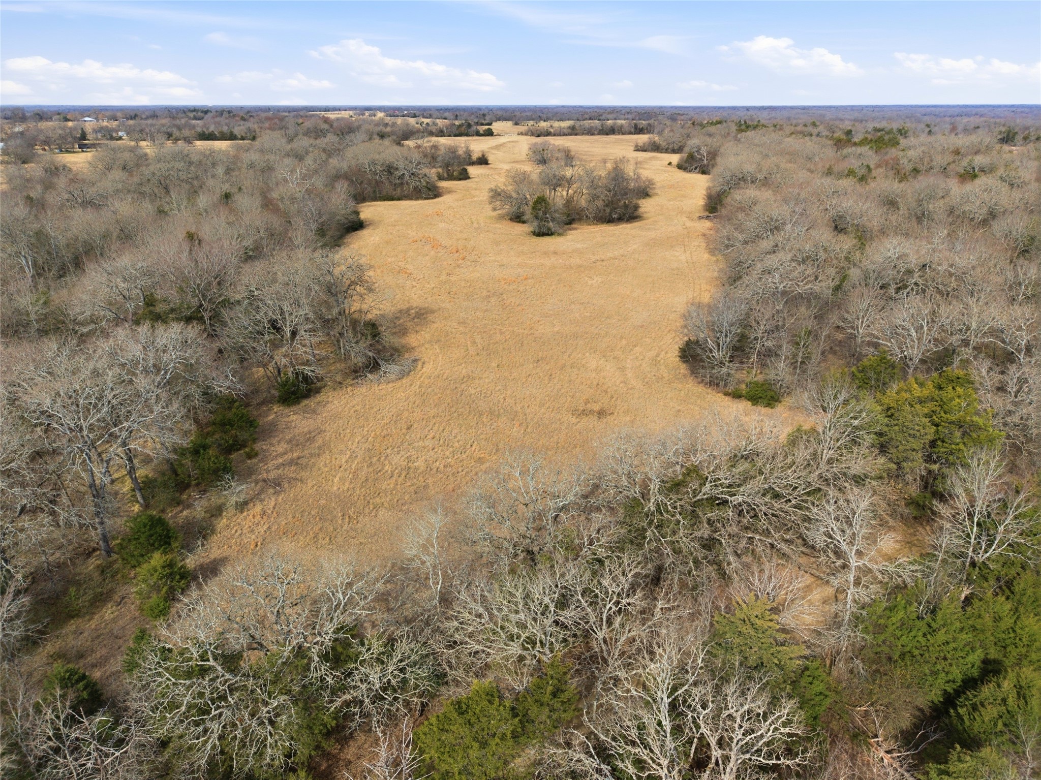 742 County Road 1144 Miller Grove TX 75472