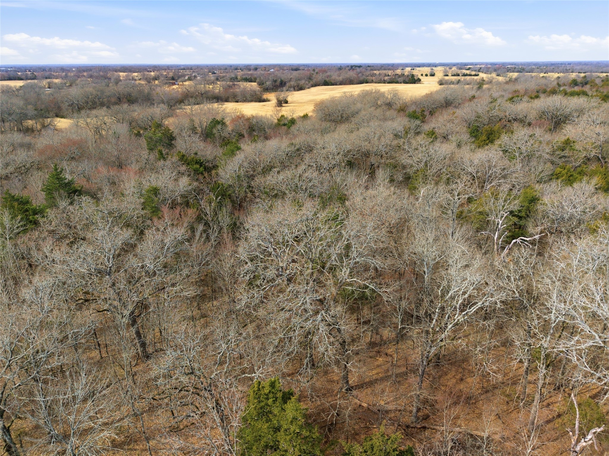 742 County Road 1144 Miller Grove TX 75472