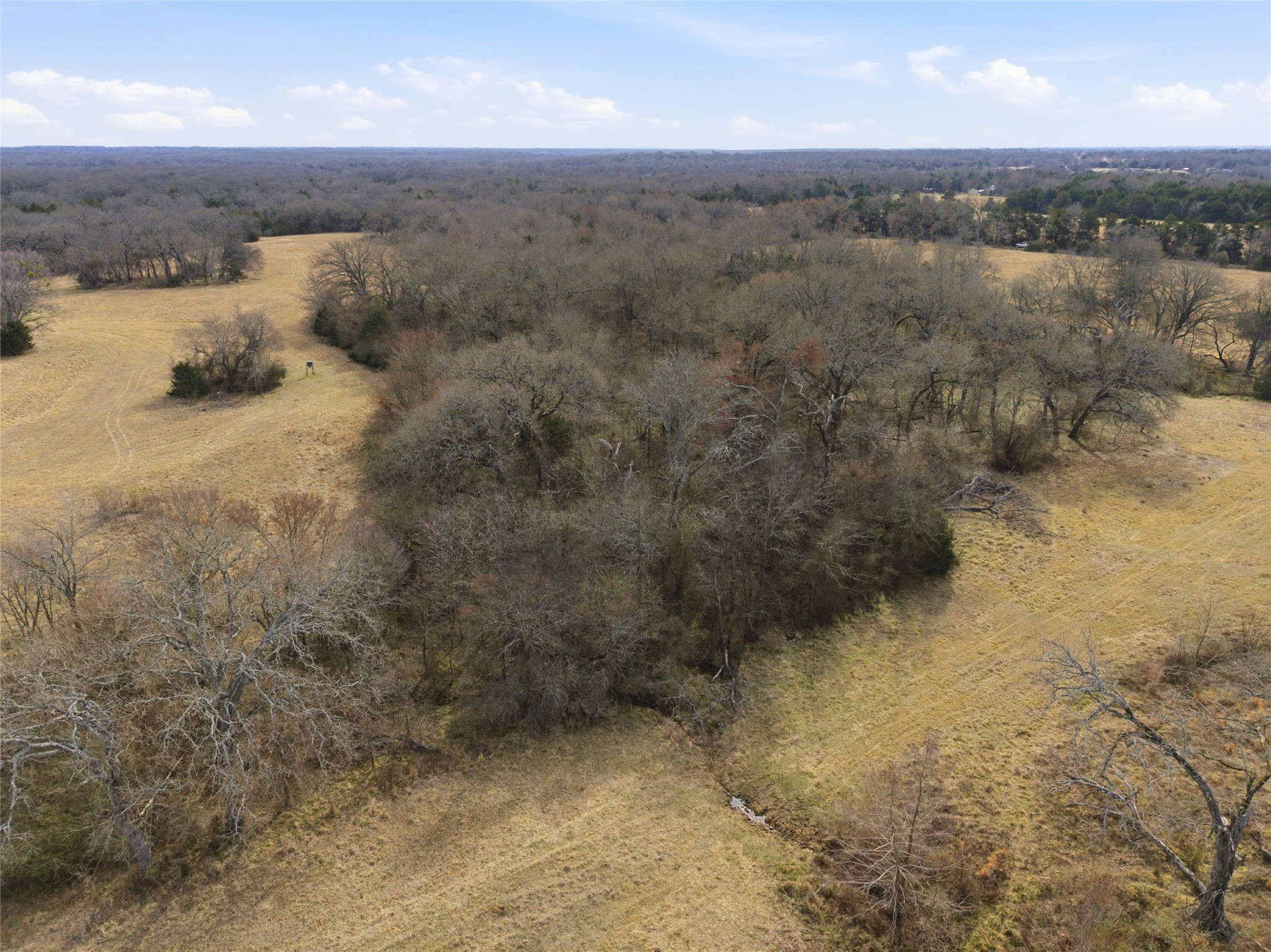 742 County Road 1144 Miller Grove TX 75472