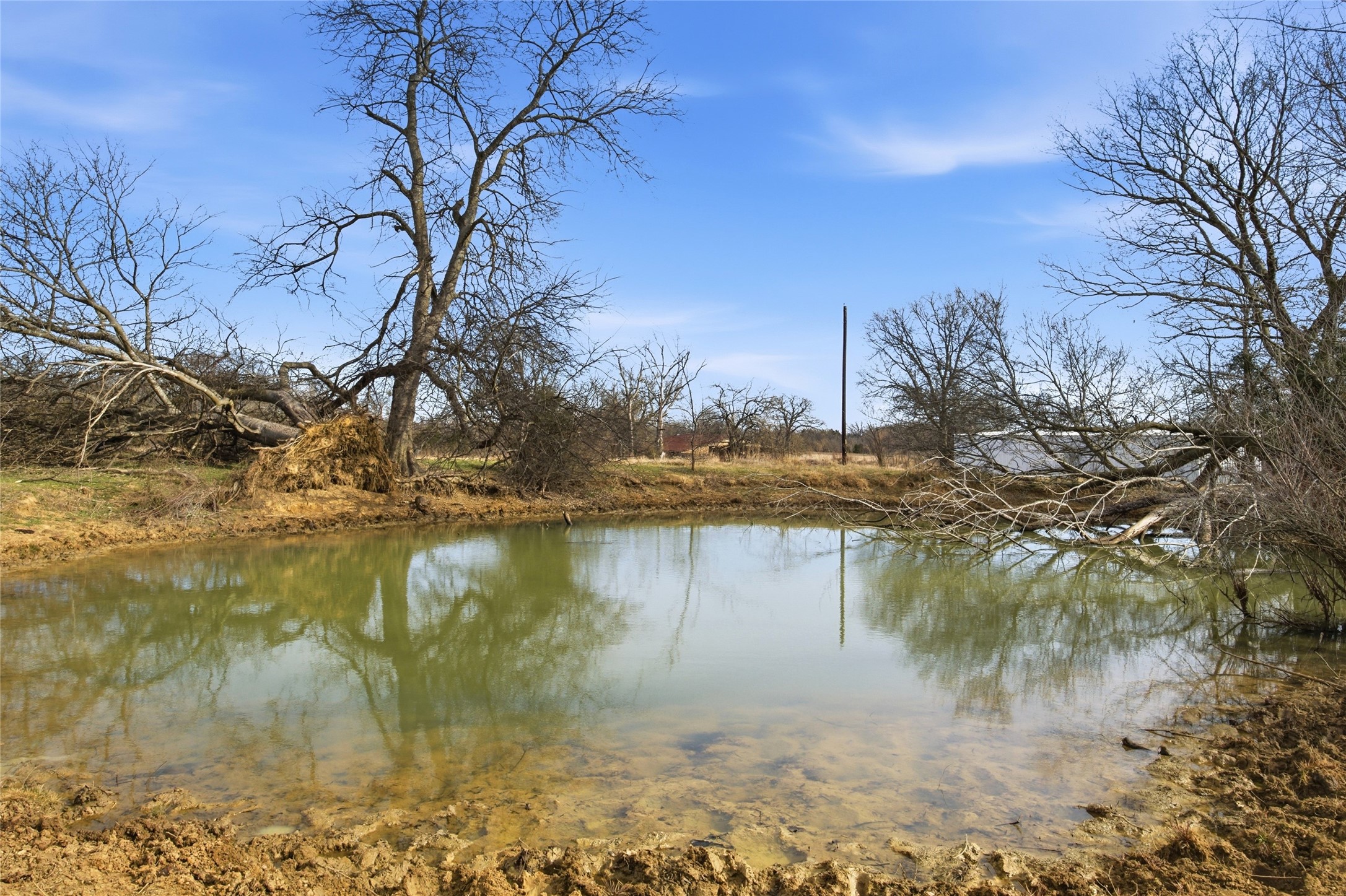 742 County Road 1144 Miller Grove TX 75472
