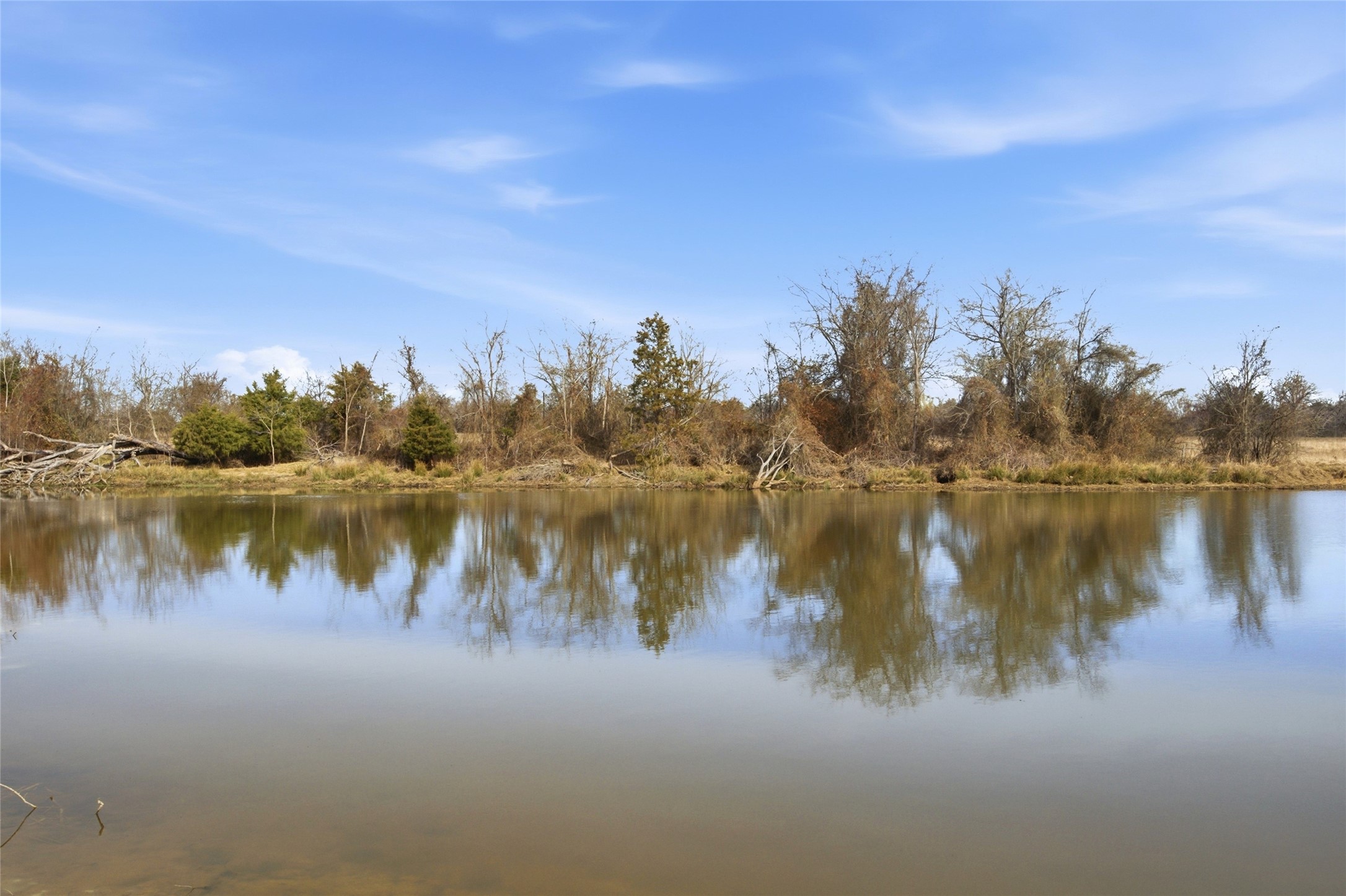 742 County Road 1144 Miller Grove TX 75472
