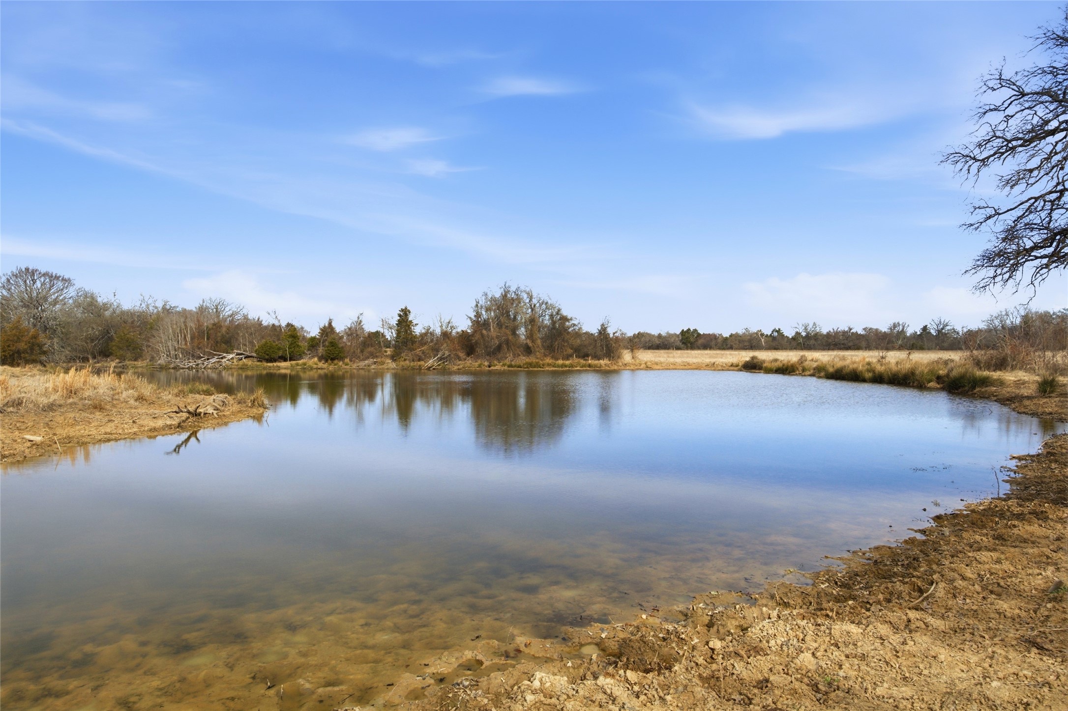 742 County Road 1144 Miller Grove TX 75472
