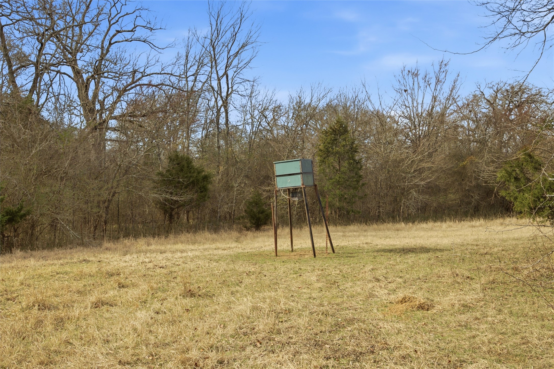 742 County Road 1144 Miller Grove TX 75472