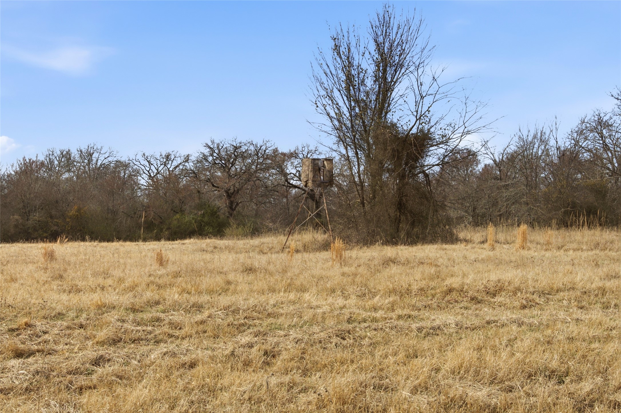 742 County Road 1144 Miller Grove TX 75472