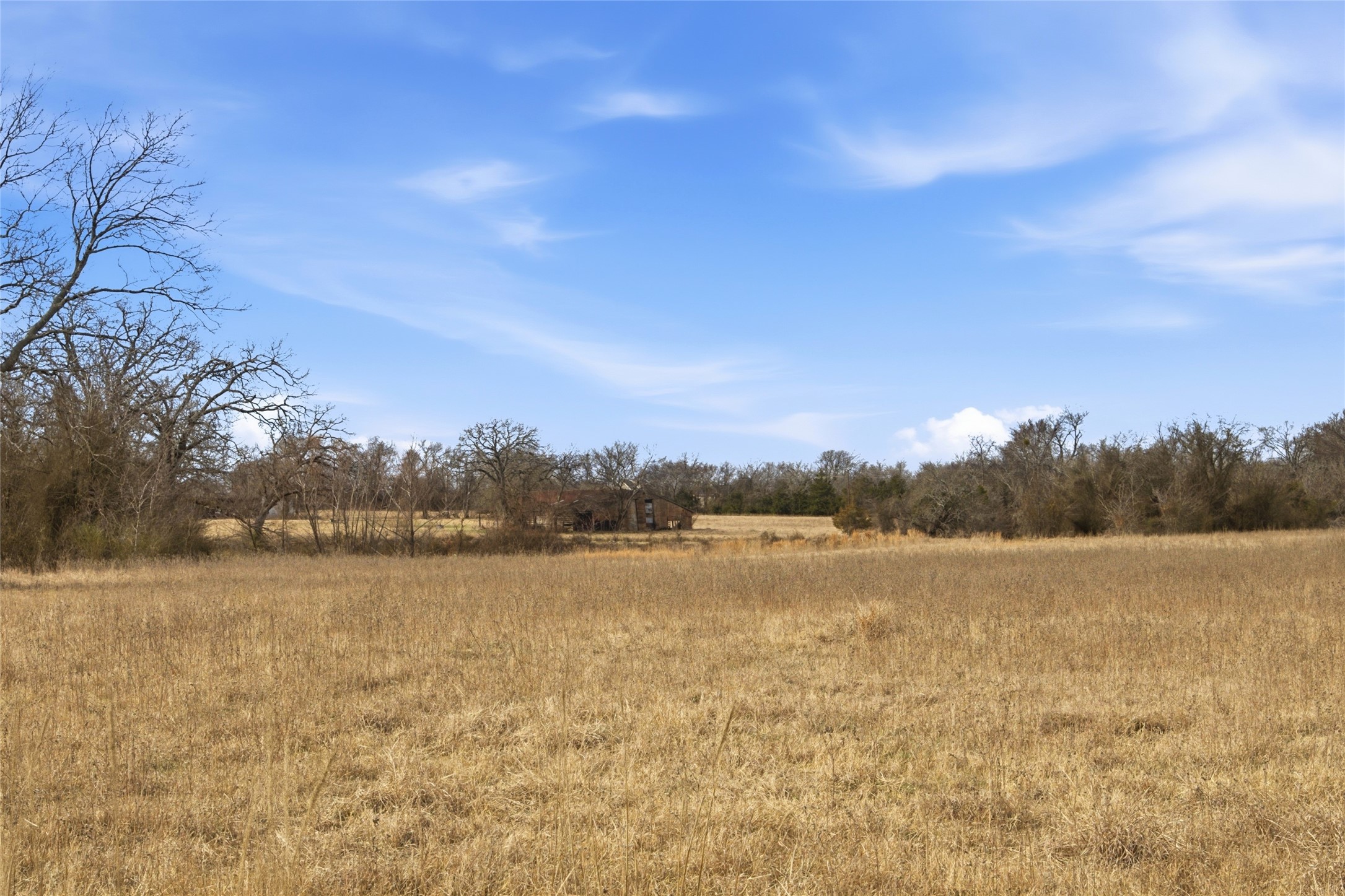 742 County Road 1144 Miller Grove TX 75472