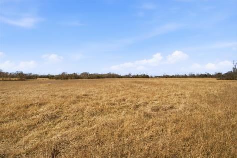 742 County Road 1144 Miller Grove TX 75472