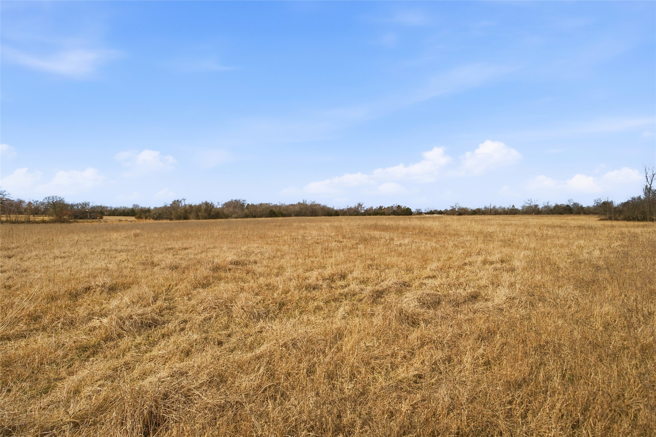 742 County Road 1144 Miller Grove TX 75472