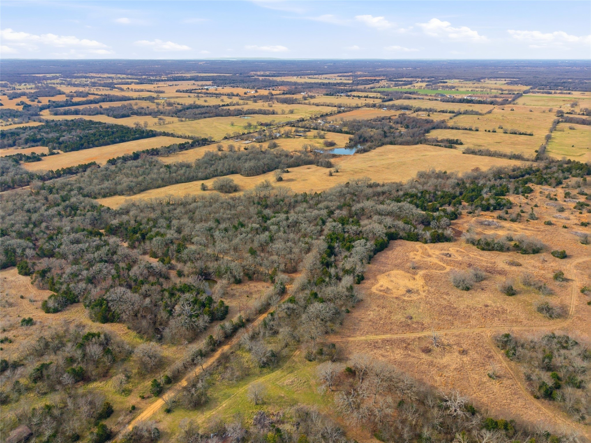 742 County Road 1144 Miller Grove TX 75472