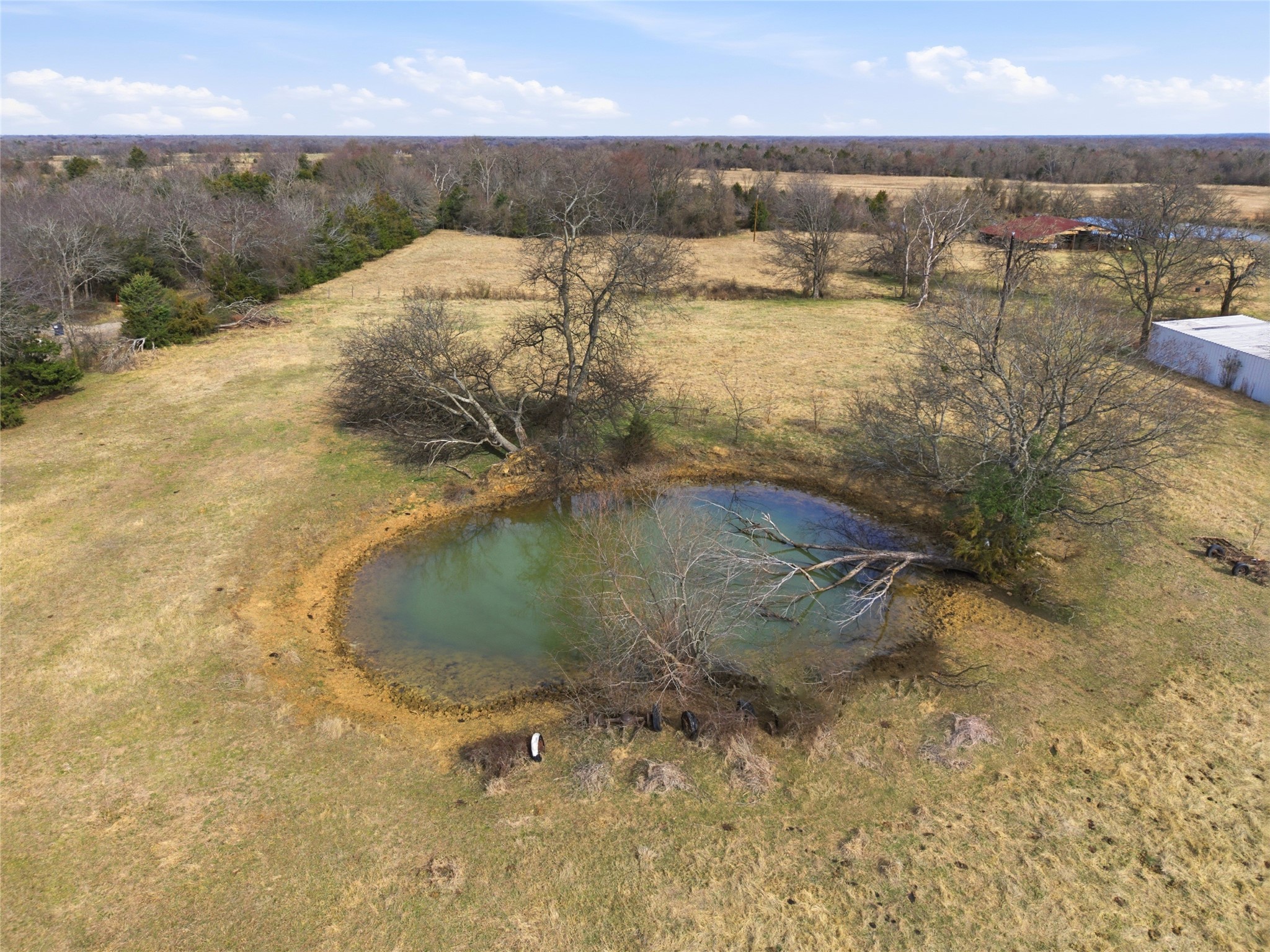 742 County Road 1144 Miller Grove TX 75472