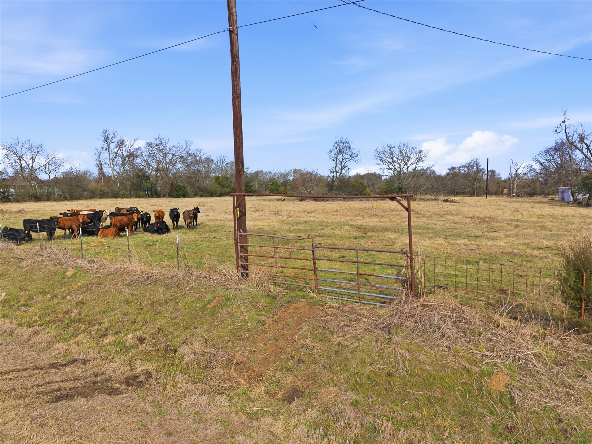 742 County Road 1144 Miller Grove TX 75472
