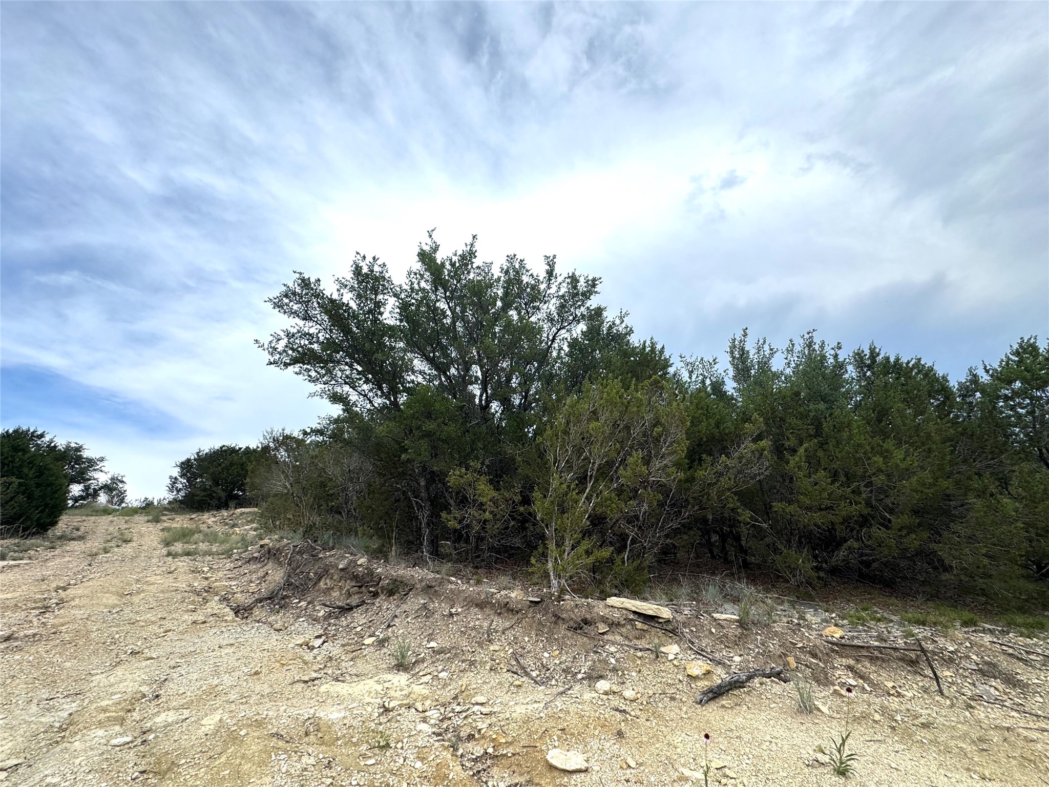 810 Anglers Ridge Bluff Dale TX 76433
