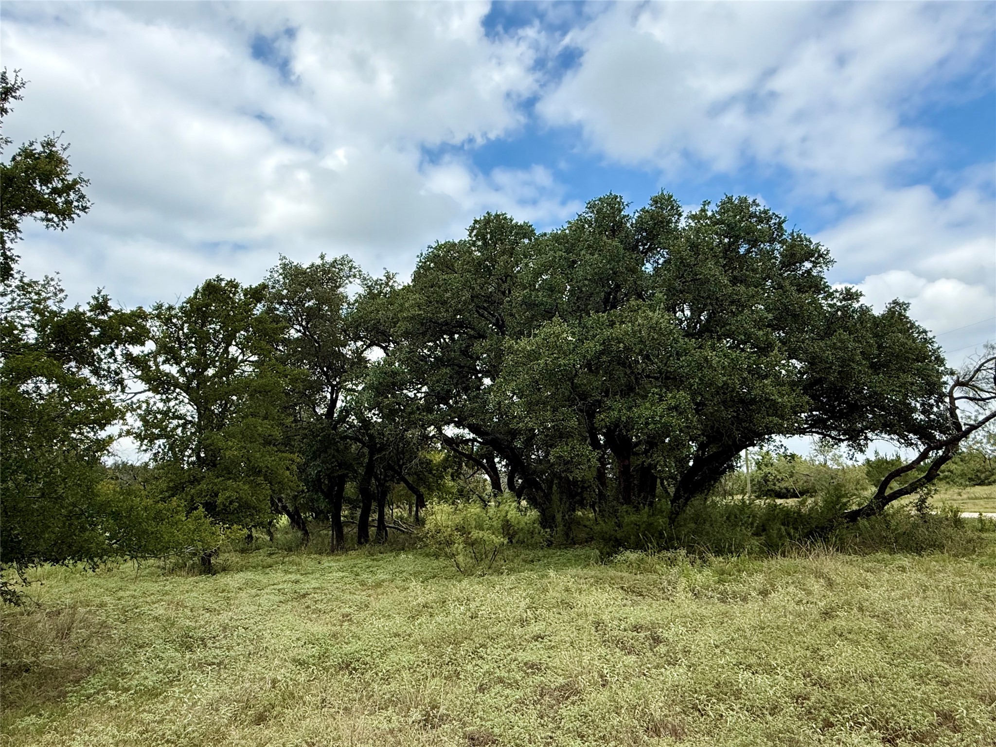 Lot 37 County Road 3208 Hico TX 76457