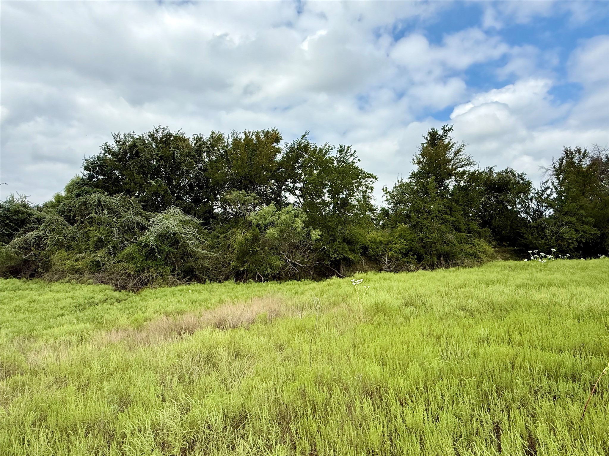 Lot 37 County Road 3208 Hico TX 76457