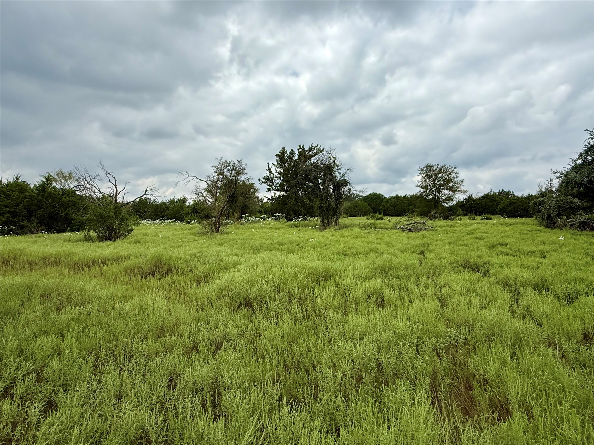 Lot 37 County Road 3208 Hico TX 76457