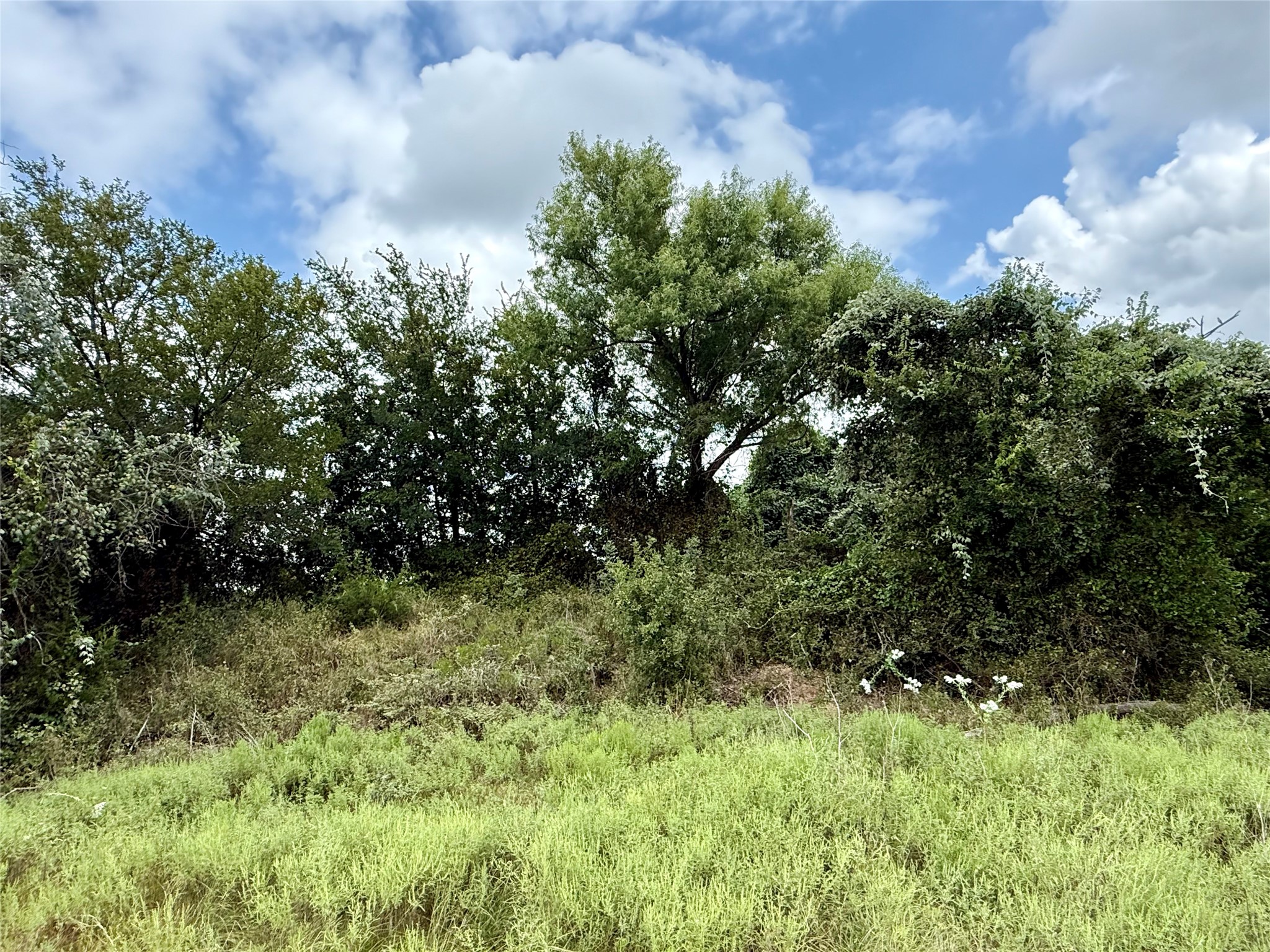 Lot 37 County Road 3208 Hico TX 76457