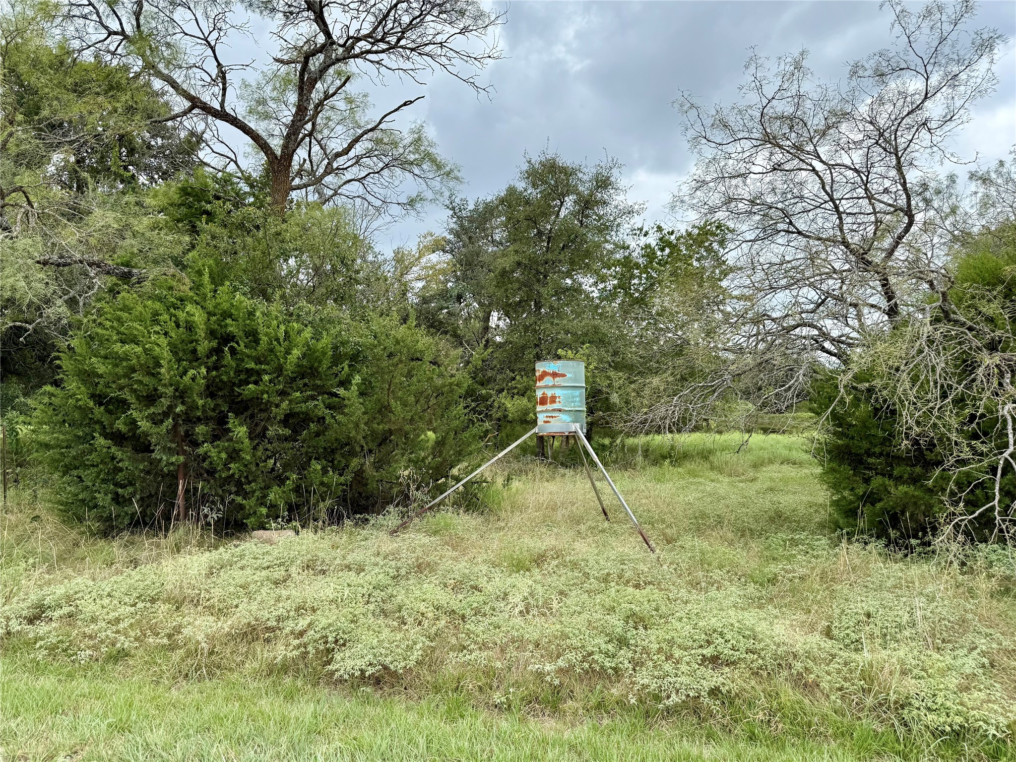 Lot 37 County Road 3208 Hico TX 76457