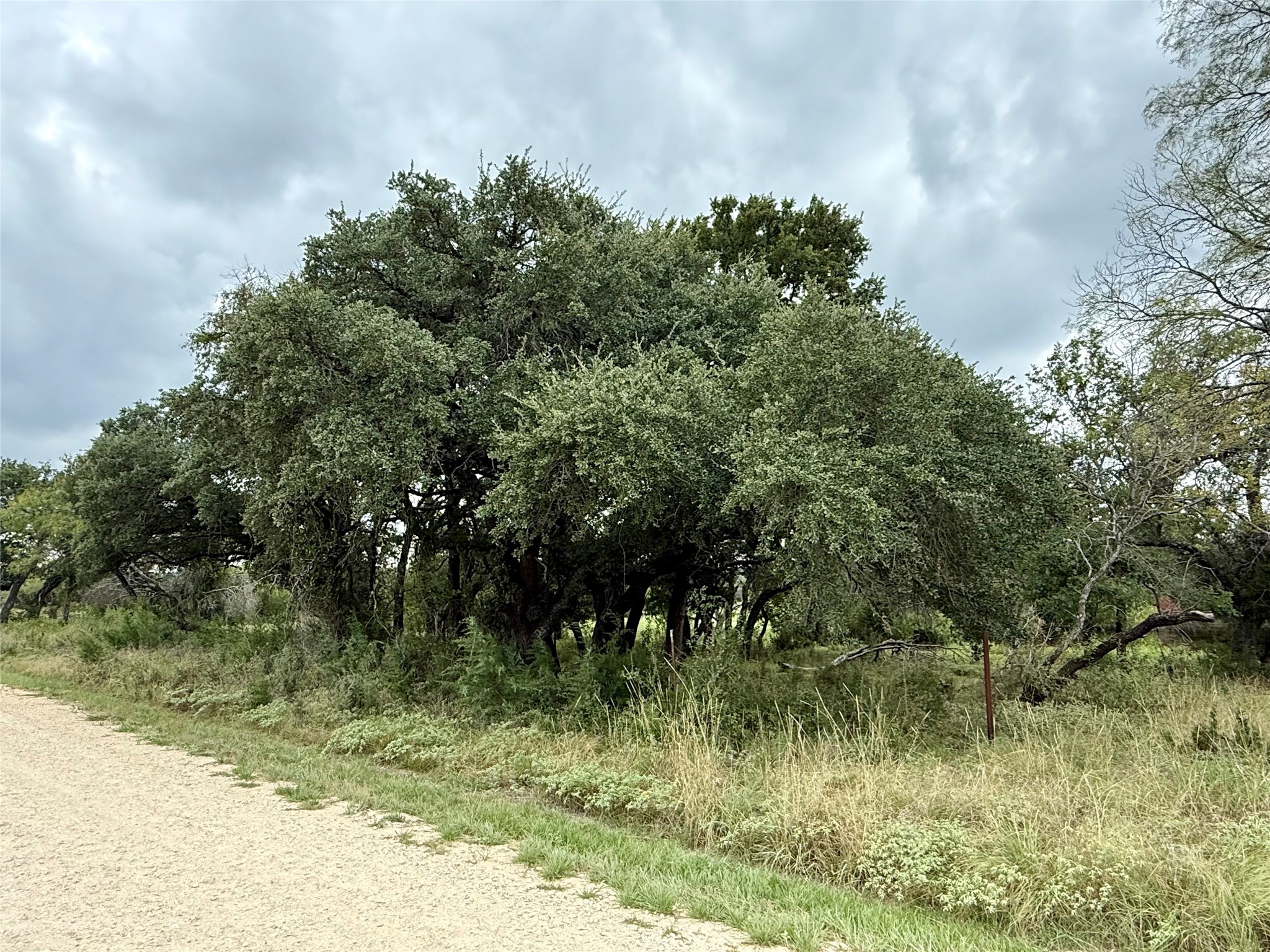 Lot 37 County Road 3208 Hico TX 76457