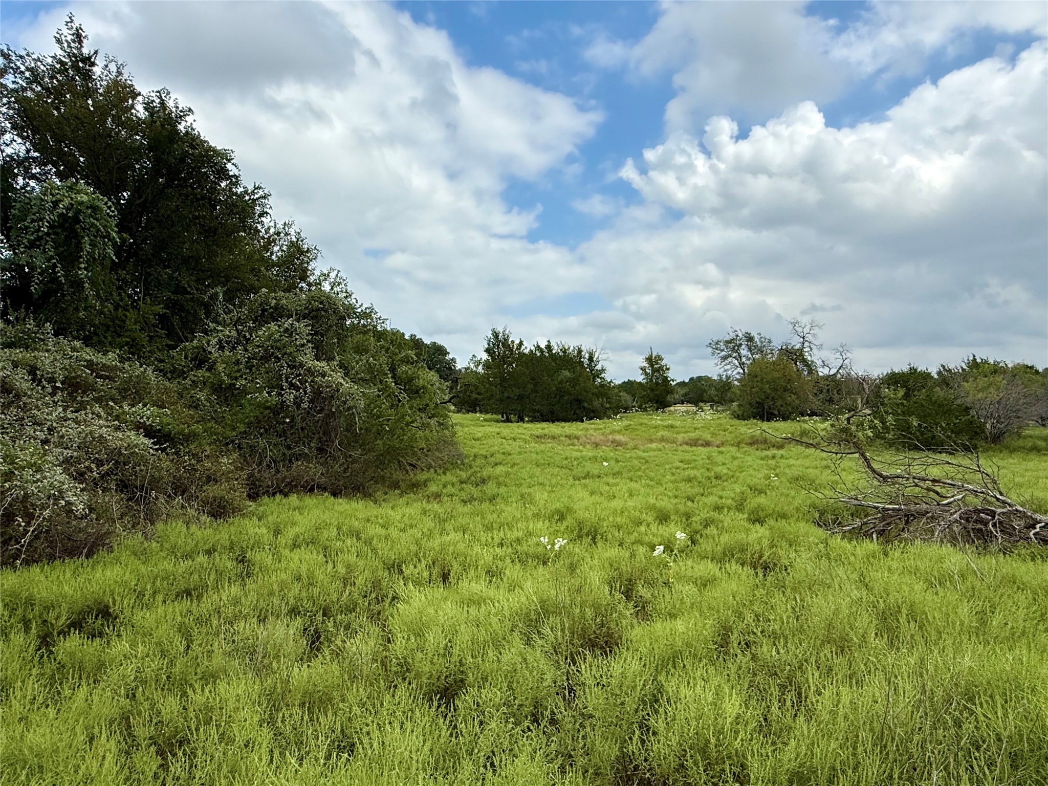 Lot 37 County Road 3208 Hico TX 76457