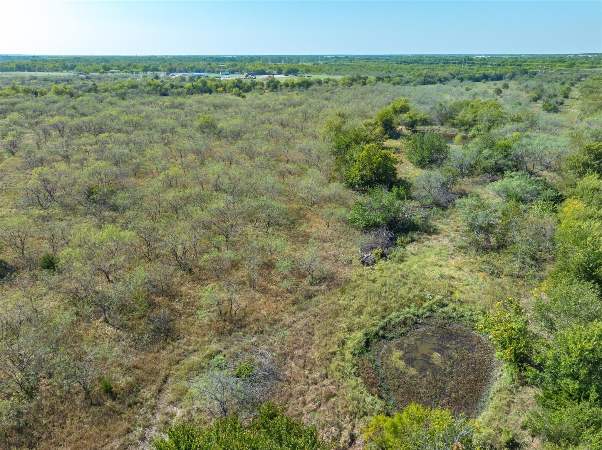 Tbd N Fm-429 Road Terrell TX 75160