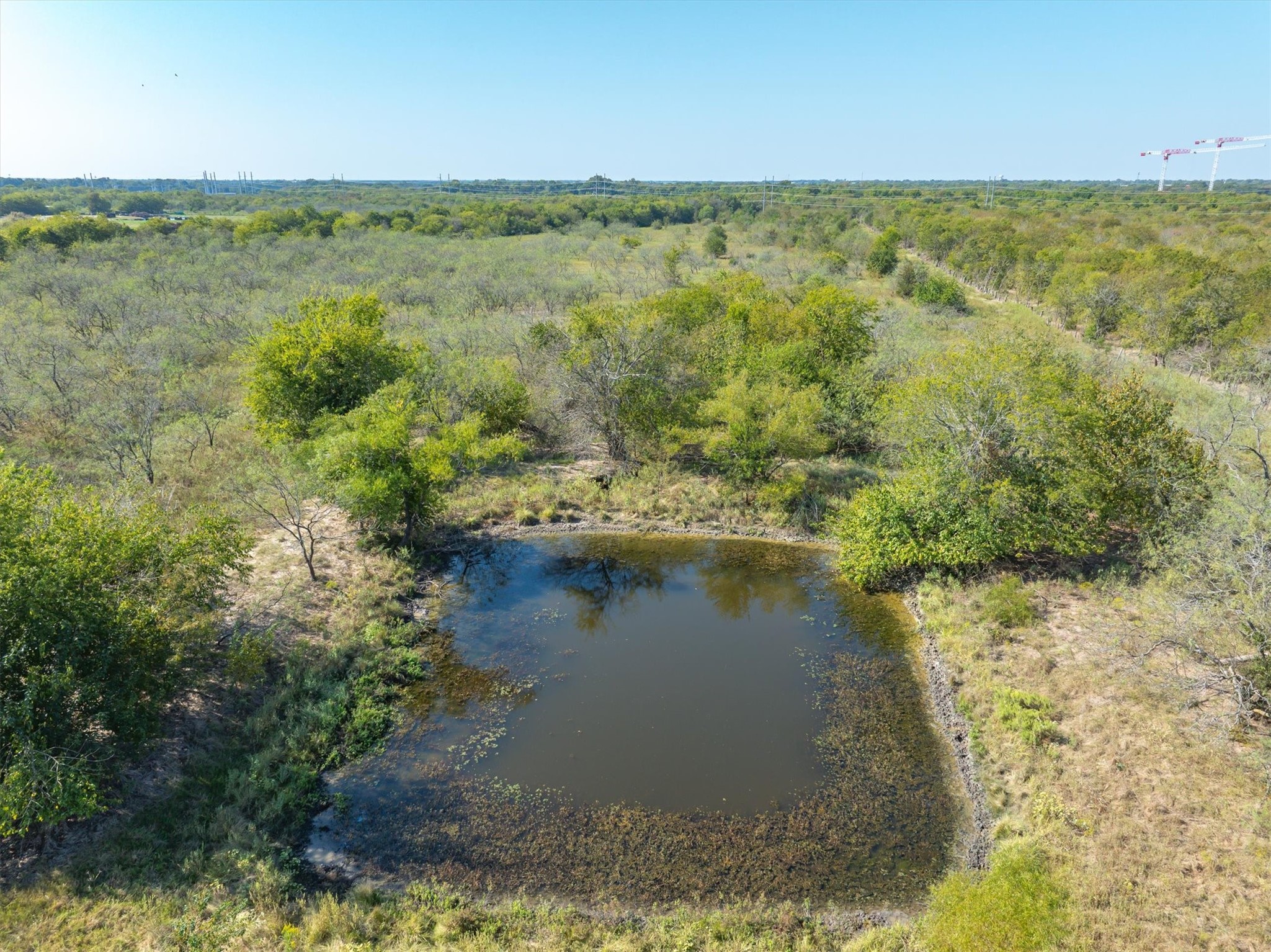 Tbd N Fm-429 Road Terrell TX 75160