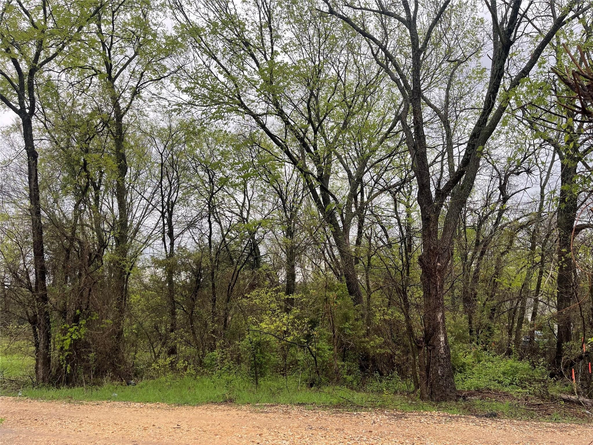 246 4th Street Cooper TX 75432