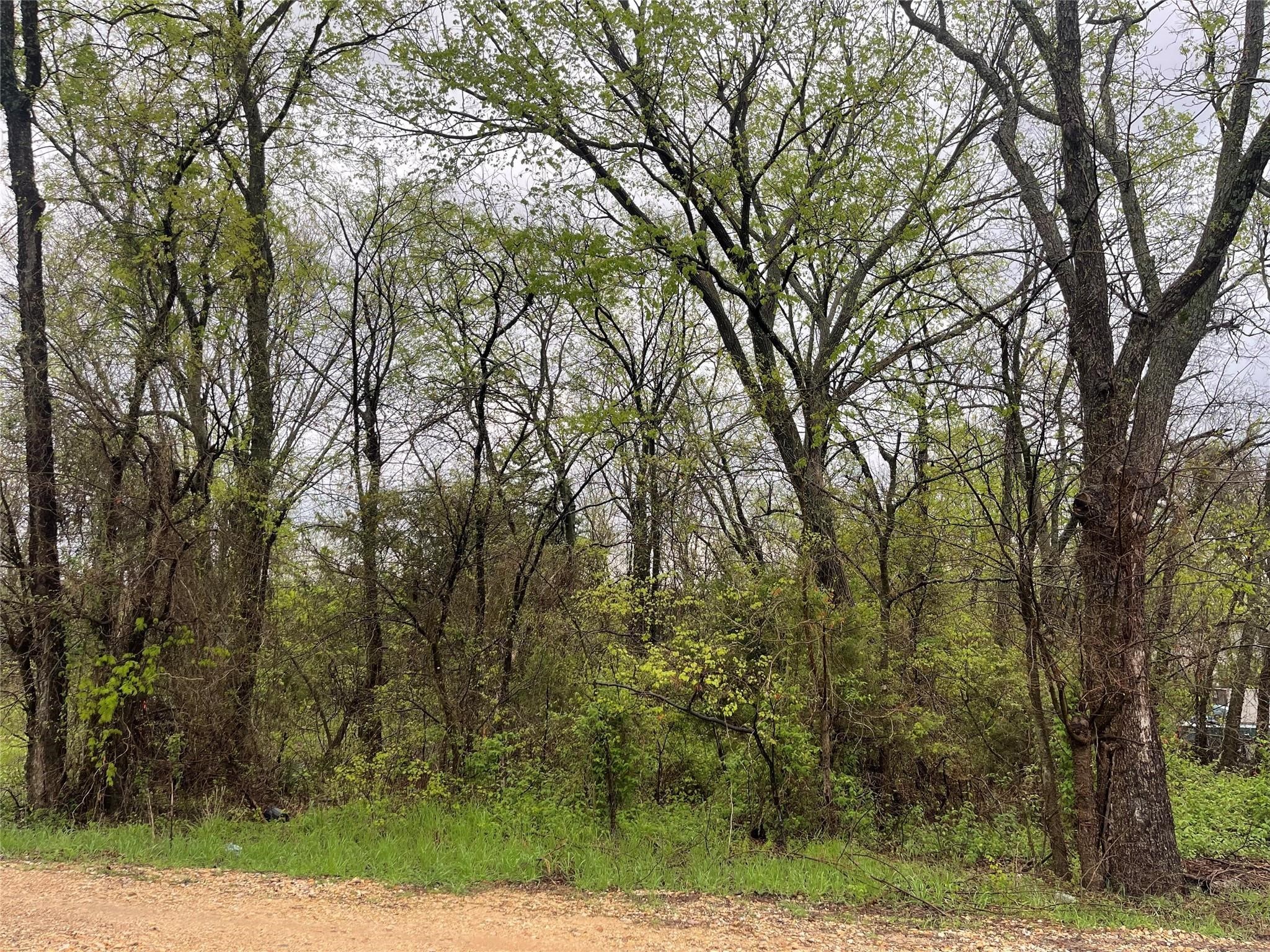246 4th Street Cooper TX 75432