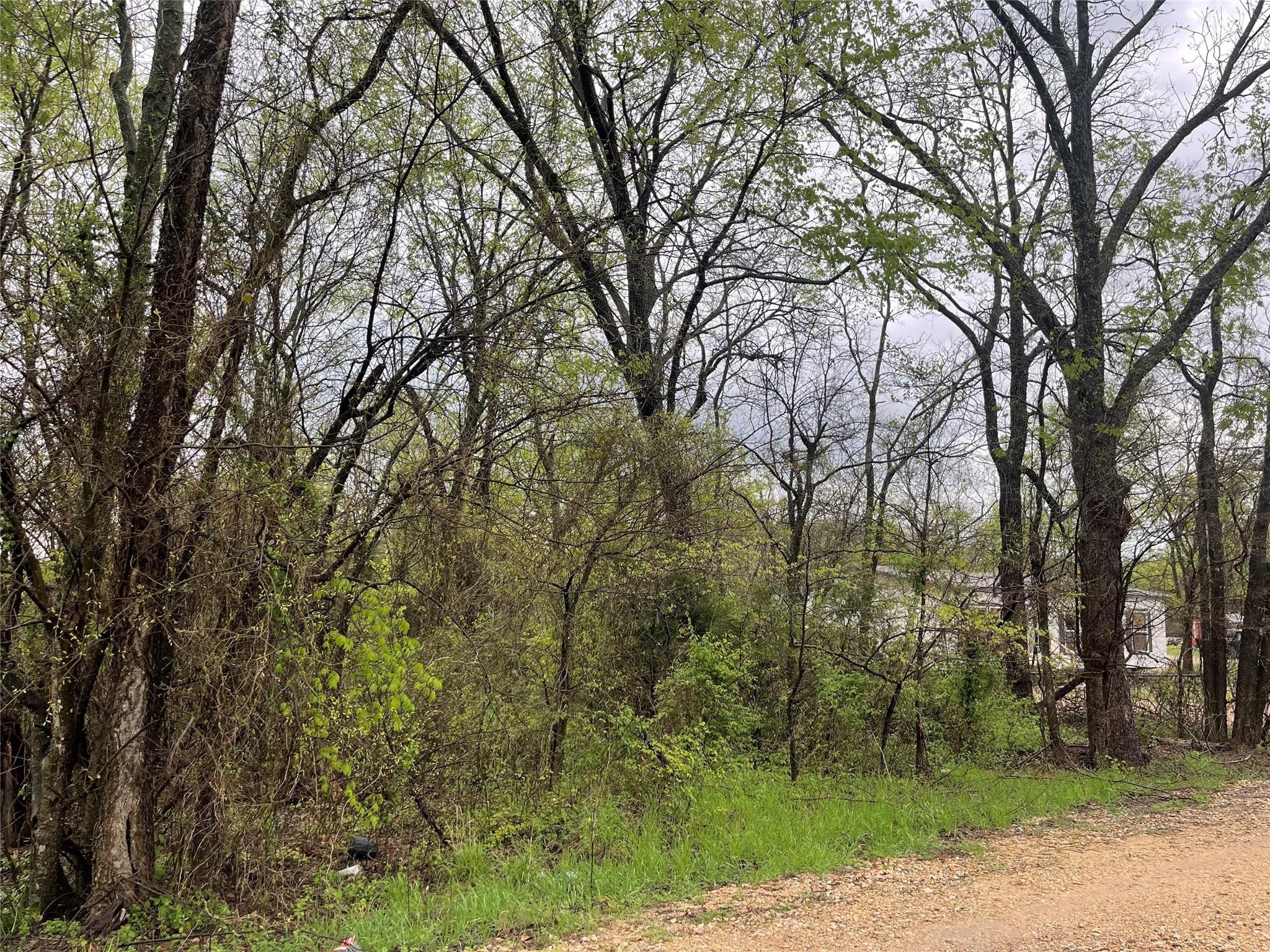 246 4th Street Cooper TX 75432