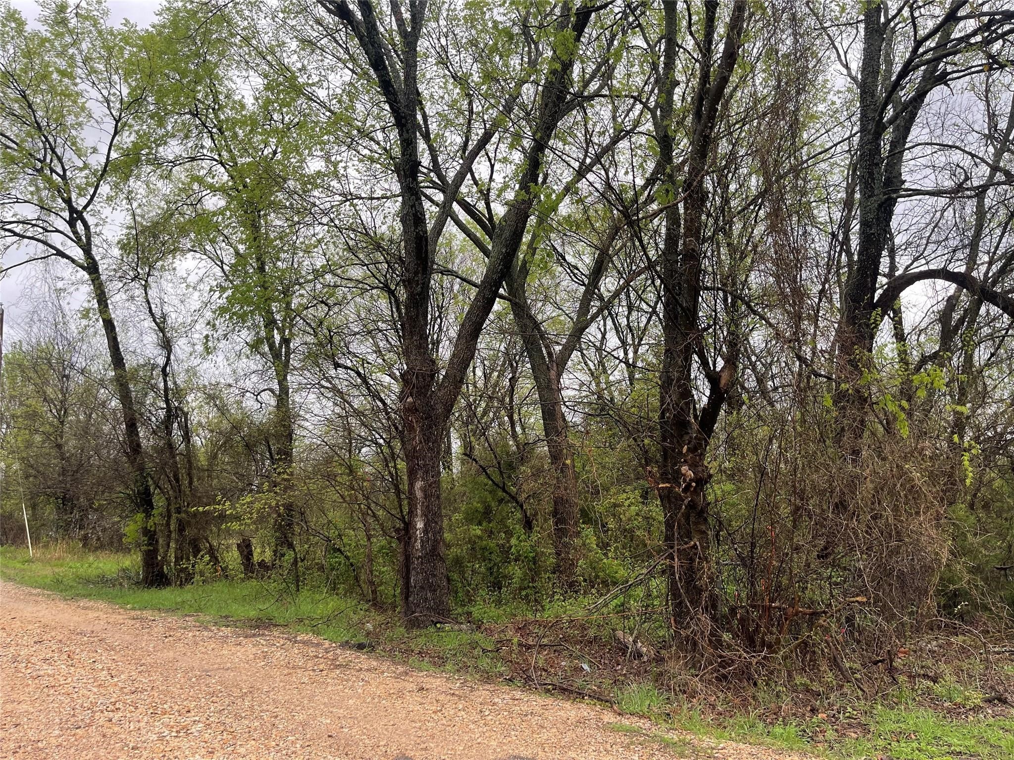 246 4th Street Cooper TX 75432