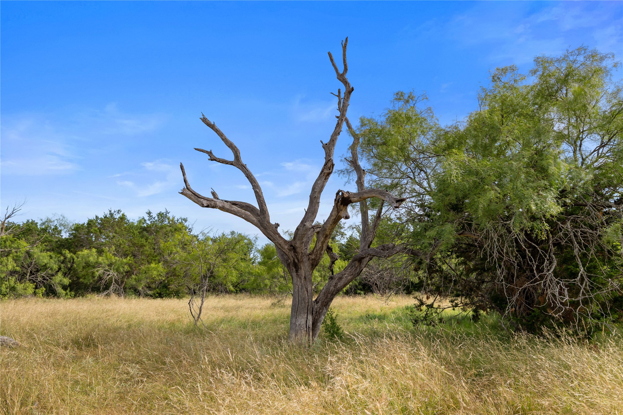 Tbd Fm 1148 Graham TX 76450