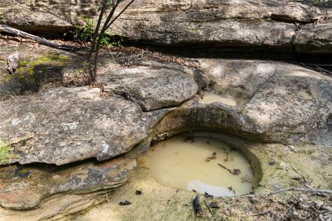 Tbd Fm 1148 Graham TX 76450