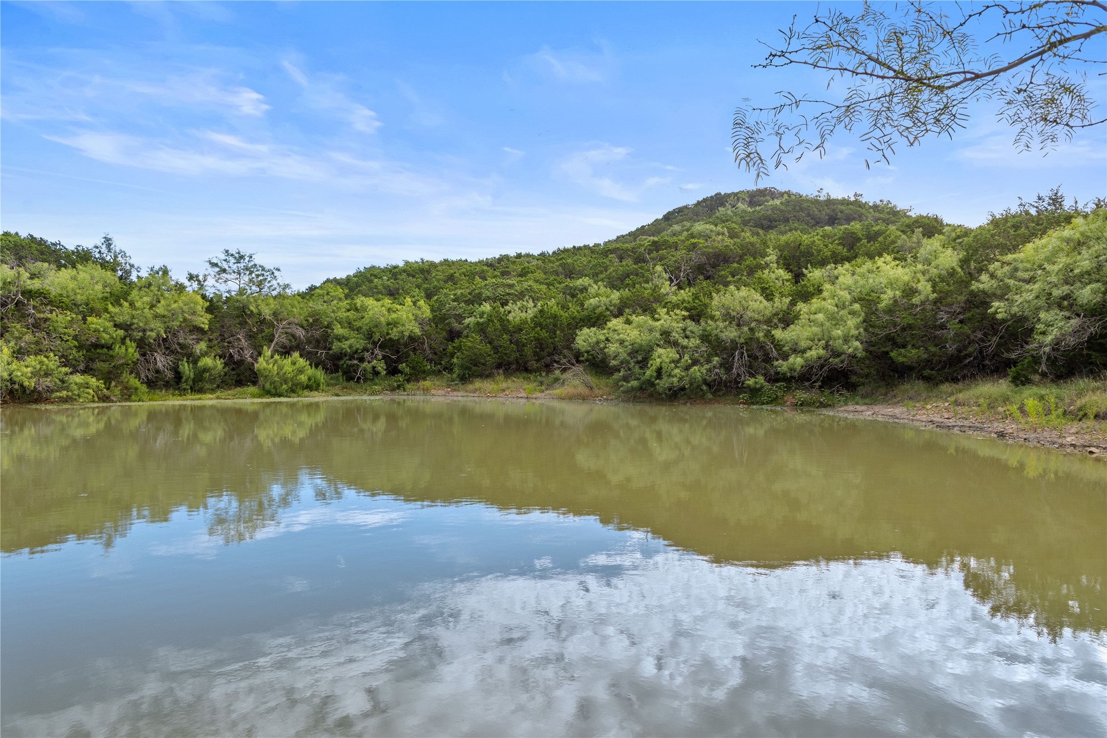 Tbd Fm 1148 Graham TX 76450