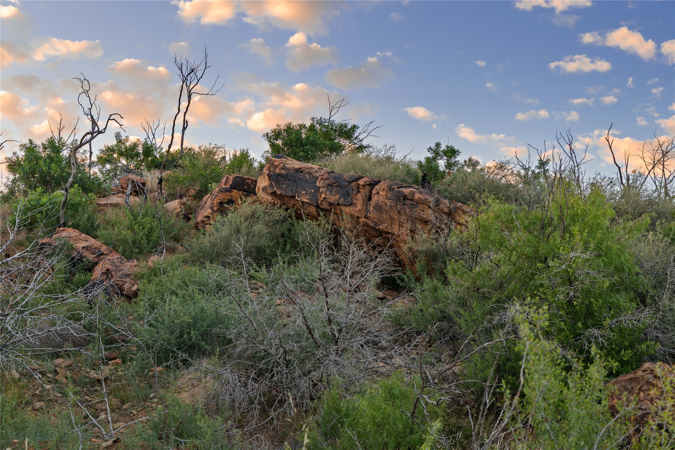 Tbd Fm 1148 Graham TX 76450