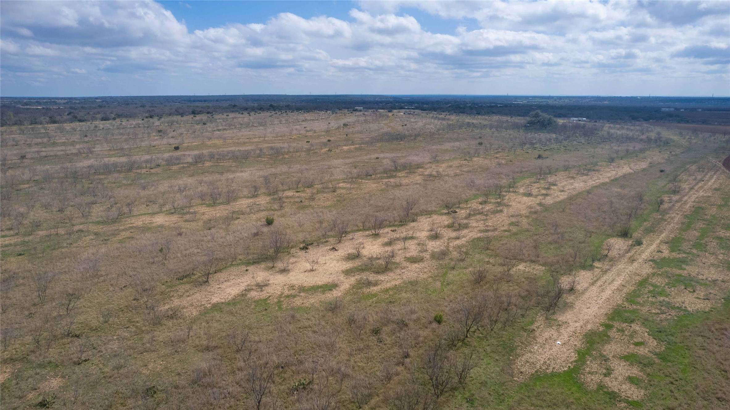 1050 County Road 258 Santa Anna TX 76878