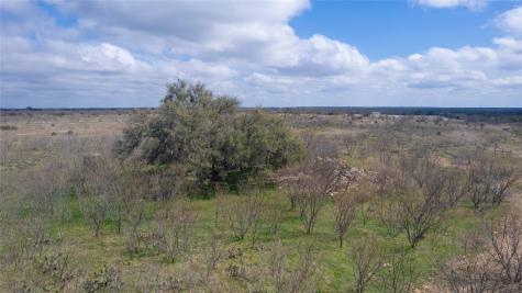 1050 County Road 258 Santa Anna TX 76878