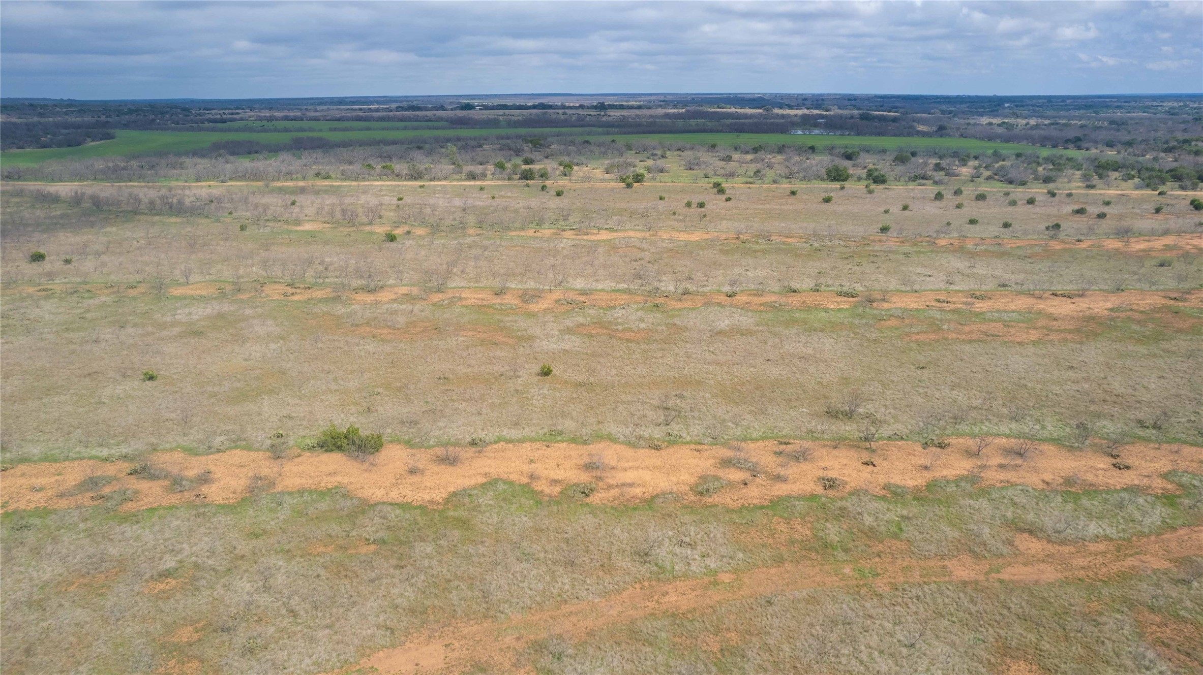 1050 County Road 258 Santa Anna TX 76878