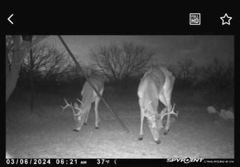 1050 County Road 258 Santa Anna TX 76878
