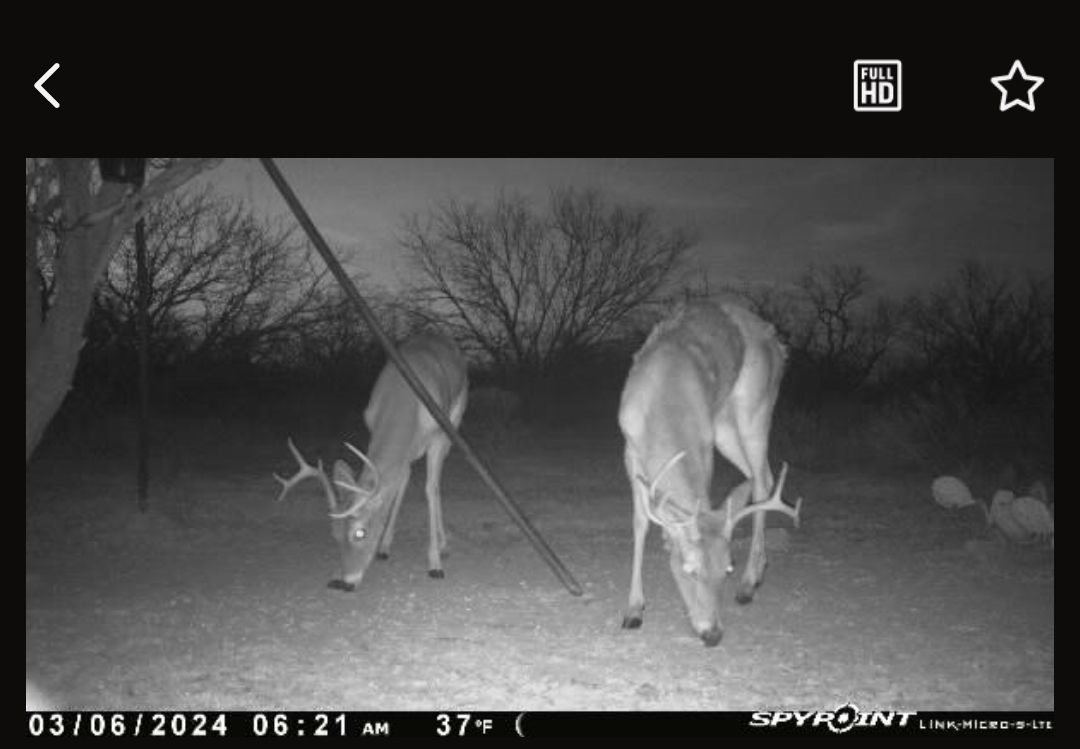 1050 County Road 258 Santa Anna TX 76878