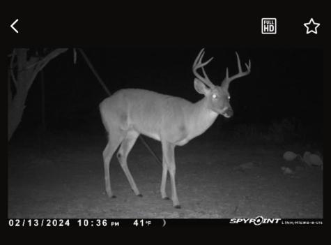 1050 County Road 258 Santa Anna TX 76878