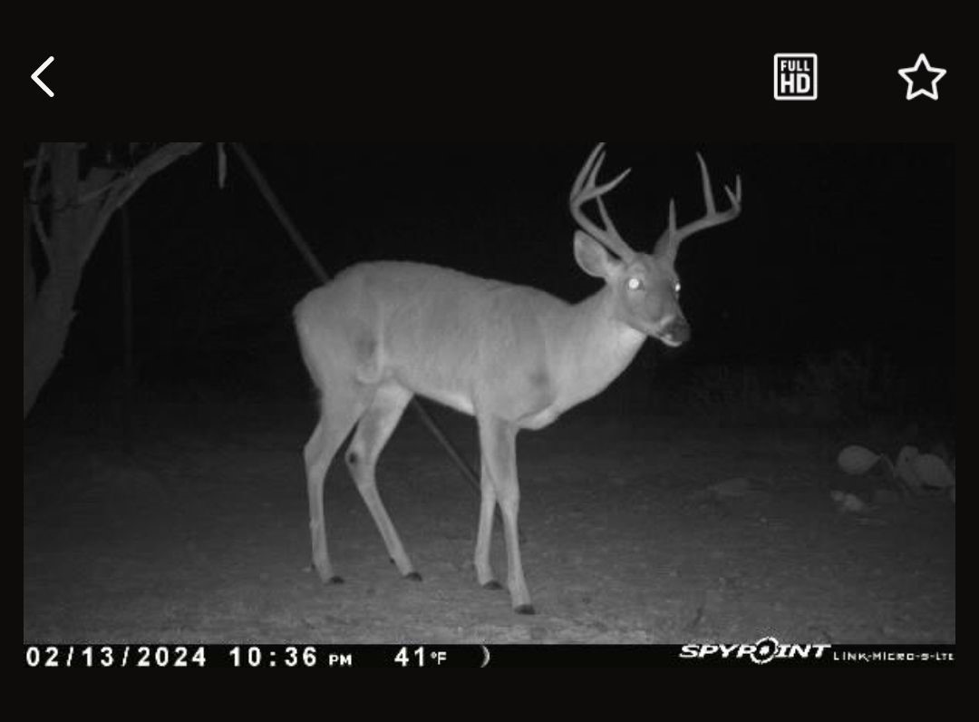 1050 County Road 258 Santa Anna TX 76878