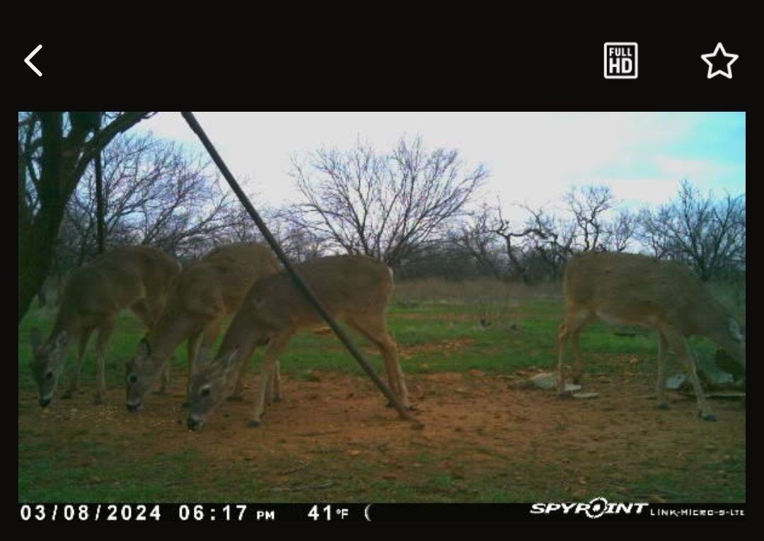 1050 County Road 258 Santa Anna TX 76878