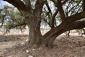 1050 County Road 258 Santa Anna TX 76878